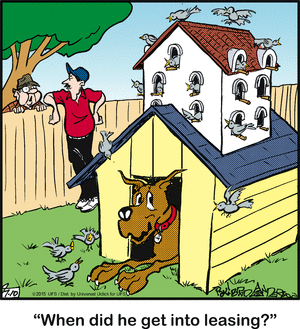 marmaduke